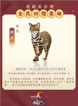 天龙八部使徒版私服